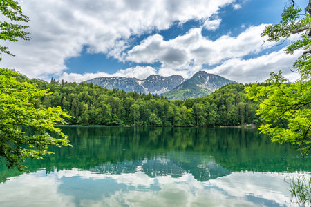 View on alpsee in the bavarian alps near fuessen, bavaria, germanyの写真素材
