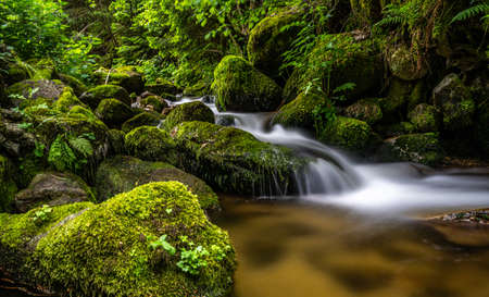 long exposure shot of a tiny waterfall in black forest, Germanyの写真素材