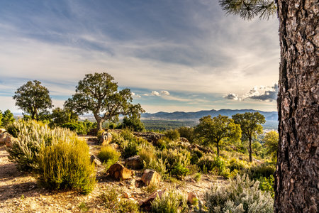 panoramic view on valley of roquebrune sure agens and frejus with cote d'azur, franceの写真素材