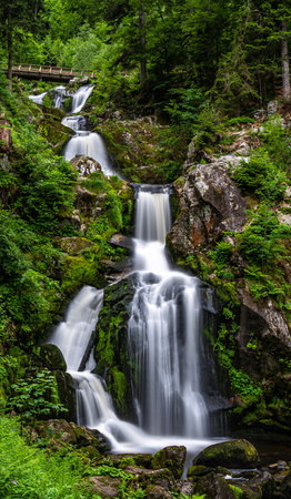 the waterfall cascade of triberg in the black forest, germanyの写真素材