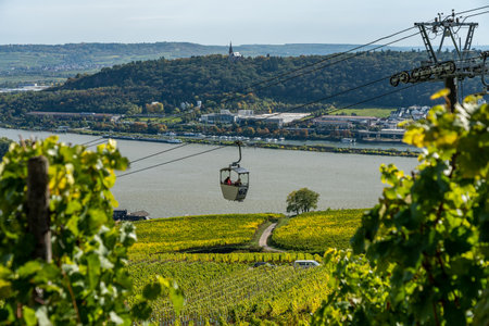 view on Cable car to Niederwald Monument rhine during fall in ruedesheim, middle rhine valley, germanyの写真素材