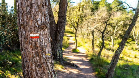 hiking trail to red rocks of roquebrune sur argens, franceの写真素材