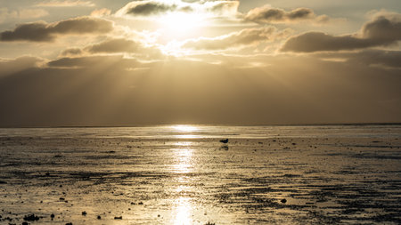 View on the wadden sea of the north sea at low tide at sunset near Bernersiel, Germanyの写真素材