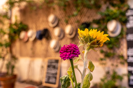 hats arranged on a wall in a cafe in Marseille, franceの写真素材