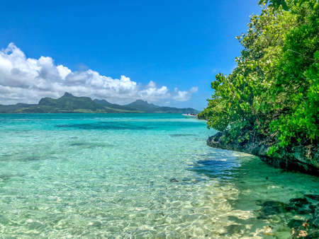 ile aux aigrettes with view on lion mountain on mauritius islandの写真素材