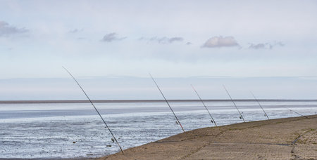 fishing rods placed at the wadden sea at north sea, germanyの写真素材