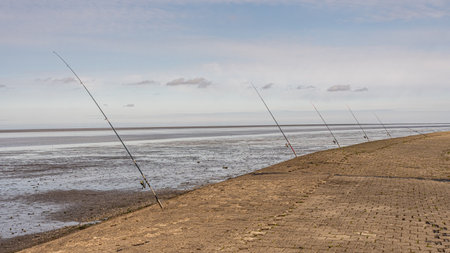 fishing rods placed at the wadden sea at north sea, germanyの写真素材