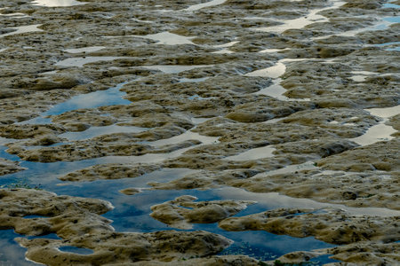 View on the wadden sea of the north sea at low tide near emden, germanyの写真素材