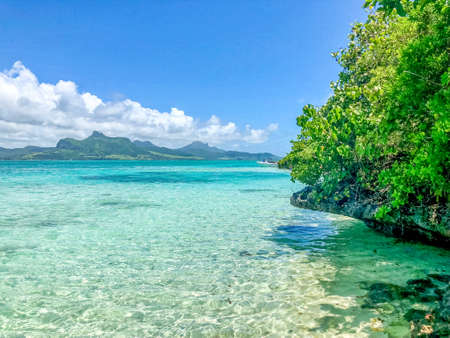 ile aux aigrettes with view on lion mountain on mauritius islandの写真素材