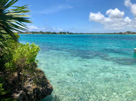 ile aux aigrettes with view on lion mountain on mauritius islandの写真素材