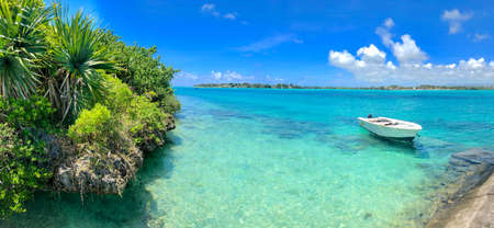 ile aux aigrettes with view on lion mountain on mauritius islandの写真素材
