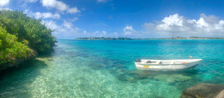 ile aux aigrettes with view on lion mountain on mauritius islandの写真素材