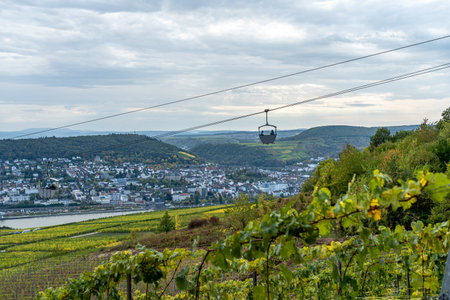 view on Cable car to Niederwald Monument rhine during fall in ruedesheim, middle rhine valley, germanyの写真素材