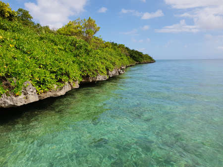 ile aux aigrettes with view on lion mountain on mauritius islandの写真素材