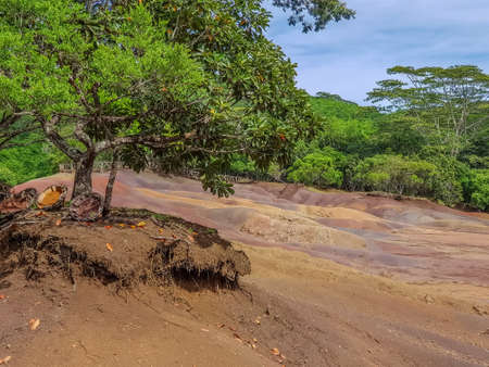 view on Seven Colored Earth on Chamarel, Mauritius islandの写真素材