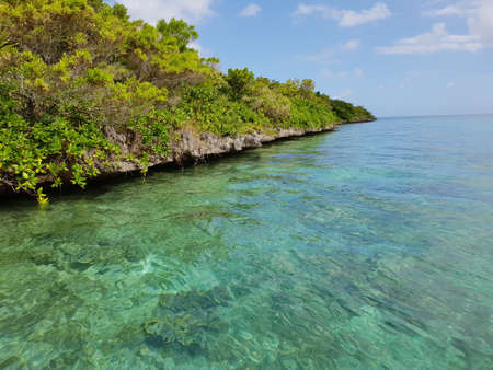 ile aux aigrettes with view on lion mountain on mauritius islandの写真素材