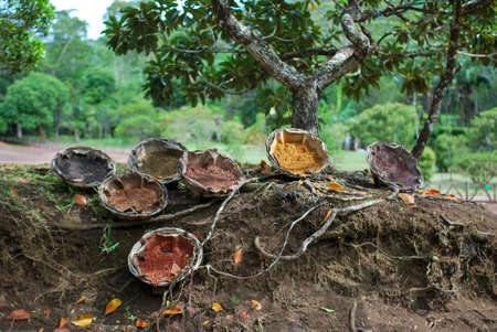 view on Seven Colored Earth on Chamarel, Mauritius islandの写真素材