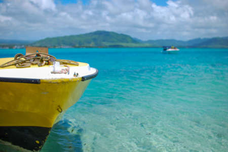 ile aux aigrettes with view on lion mountain on mauritius islandの写真素材