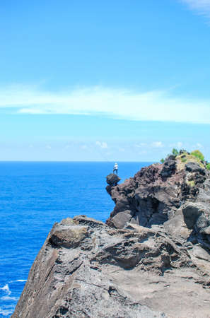 man with fishing rod standing on rocks at a deep cliff in front of the indian ocean on la reunion islandの写真素材