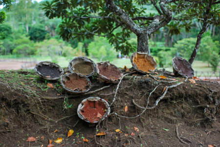 view on Seven Colored Earth on Chamarel, Mauritius islandの写真素材
