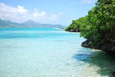 ile aux aigrettes with view on lion mountain on mauritius islandの写真素材
