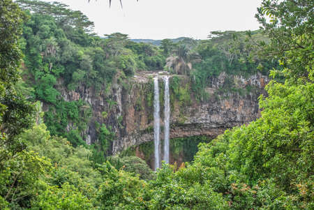 view on chamarel waterfall with jungle on mauritius islandの写真素材