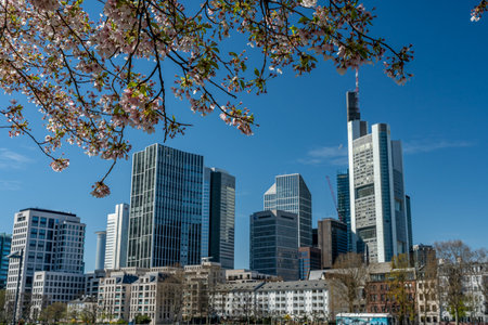 Frankfurt, Germany - March 31, 2020: frankfurt skyline view from main riverside in springtime, hesse, germanyのeditorial素材