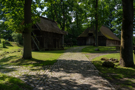 Characteristic stable for German moorland sheep with a straw roof in the natural preserve Lueneburger Heide, Germanyの写真素材