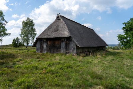 Characteristic stable for German moorland sheep with a straw roof in the natural preserve Lueneburger Heide, Germanyの写真素材