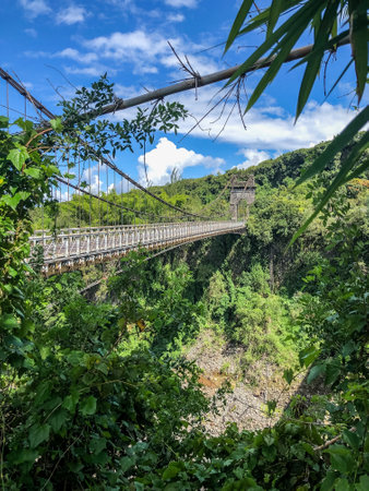 suspended bridge on la reunion islandの写真素材