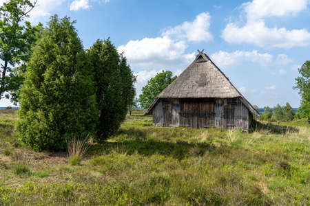 Characteristic stable for German moorland sheep with a straw roof in the natural preserve Lueneburger Heide, Germanyの写真素材