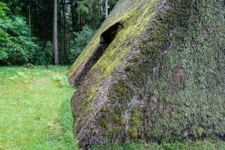 Characteristic stable for German moorland sheep with a straw roof in the natural preserve Lueneburger Heide, Germanyの写真素材