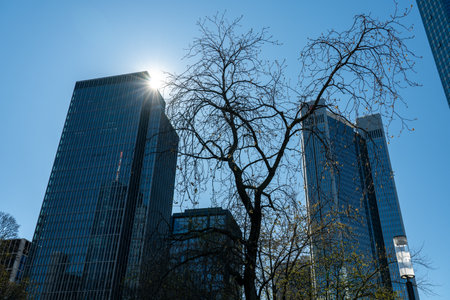 View on frankfurt skyline with bank towers (deutsche bank, deutsche bahn), germanyの写真素材