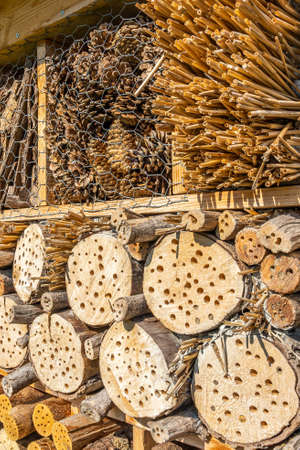 Close-up of insect hotel for wild bees and other insects made of natural eco materials (cones, wood, sticks, hay, straw and bark)の写真素材