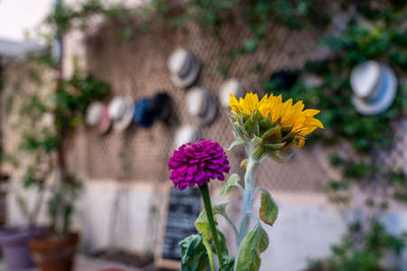 hats arranged on a wall in a cafe in Marseille, franceの写真素材