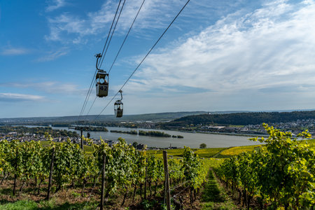 view on Cable car to Niederwald Monument rhine during fall in ruedesheim, middle rhine valley, germanyの写真素材