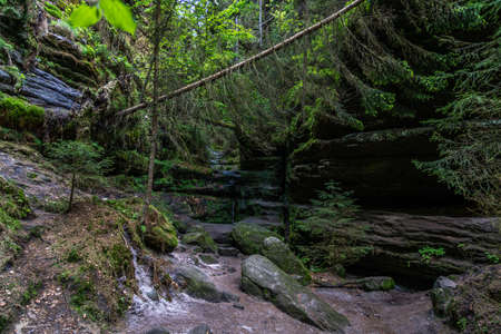 schwedenloecher in saxon switzerland, germanyの写真素材