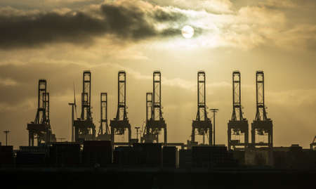 hamburg harbor cranes that look like giraffes, germany