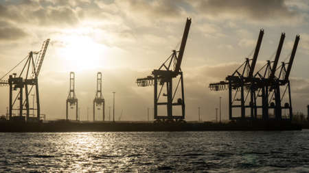 hamburg harbor cranes that look like giraffes, germanyの写真素材