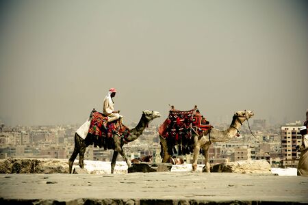 Camelists rest in the Giza Valley at the foot of the Pyramid of Micerino