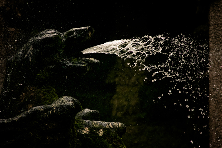 Details of the Fountains at Villa D'Este at Tivoliのeditorial素材