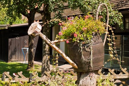 Watering can with flowersの写真素材