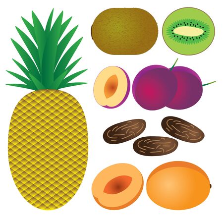 Set of fruits on the white background. Pineapple, peach, plum, date, kiwi.のイラスト素材