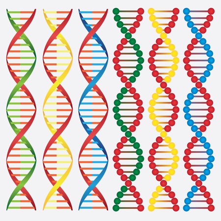 Set of abstract images of DNA molecules on the white background.のイラスト素材