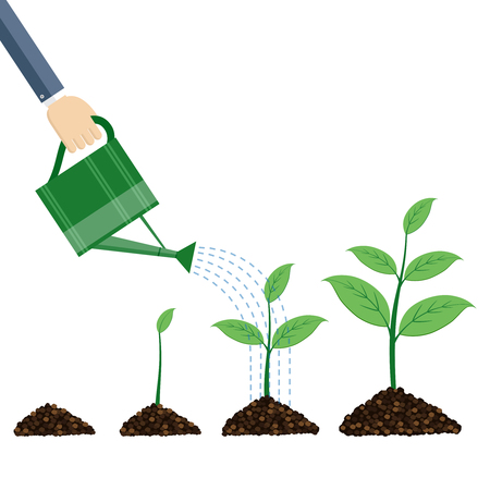 Watering can and plants on white background.のイラスト素材