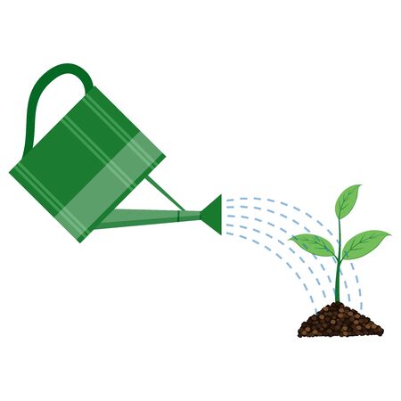 Young plant with watering can on the white backgroundのイラスト素材