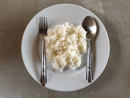 Jasmine rice in white plate from top-viewの素材