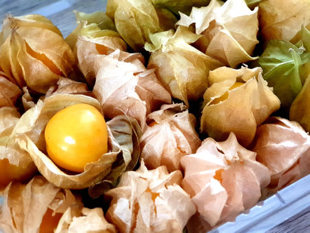 Fresh cape gooseberryの素材