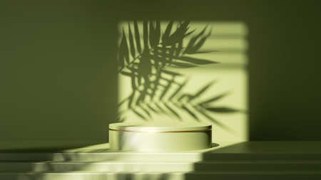 3d render, abstract green background. Empty stage with steps and cylinder podium, leaf shadows and bright sunlight going through the square window. Minimal showcase scene for product presentationの写真素材