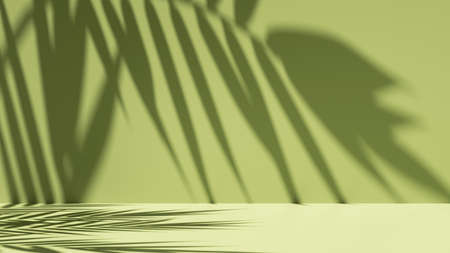 3d render, simple abstract green background illuminated with bright sunlight, with palm leaf shadow. Modern minimal showcase scene for product presentationの写真素材